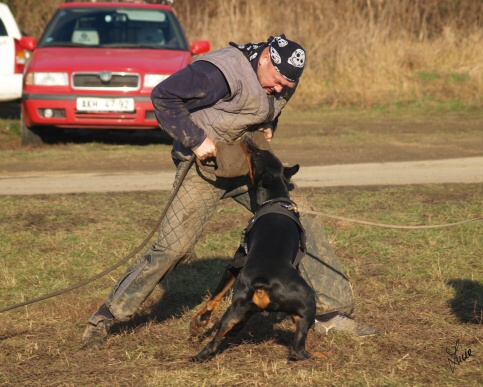 The christmas training 27.12.2006